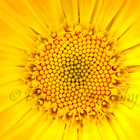 PKGPhotography