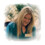 JaninesWorld