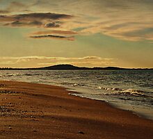 le promeneur by lucyliu