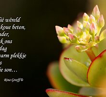 'n Plekkie in die son by Rina Greeff