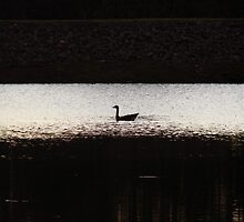 Lone Scout On The Lake by Jean Gregory Evans