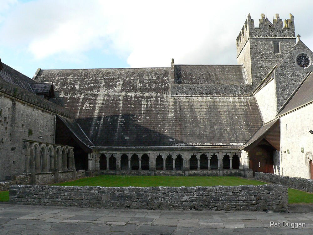 "Holy Cross Abbey,Thurles,Co.Tipperary,Ireland" by Pat Duggan Redbubble