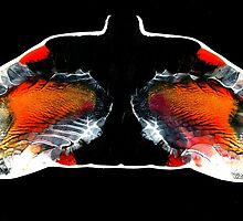 A pair of wings just for you... by limerick
