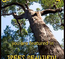 Banner for Trees by pennyswork