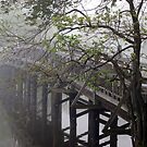 The Foot Bridge Fog in Spring Lake by Michele Ford