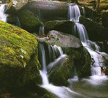 MOSSY CASCADE by Chuck Wickham