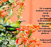 Suikersoetbekkie by Rina Greeff