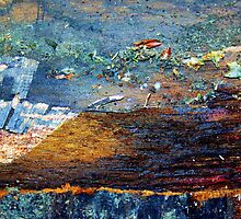 End Of Life by richman