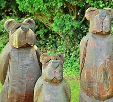 three bears in wood by Steve