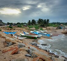 Boats at Rest - Sri Lanka by Dilshara Hill