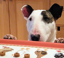 Where's My Treats? by James Hogarth