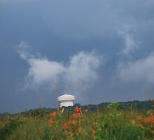 Day Lilly's Stand up to the storm by C-man