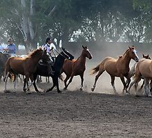 Gauchos at work by Maggie Hegarty