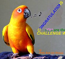 CONGRATULATIONS - Challenge winner - Pets Are Us by AndreaEL