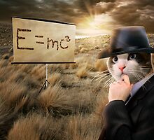Gentleman Cat Is Thinking About Einstein's Physics by ewanthot