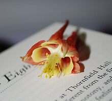 Untitled by SparksFyre