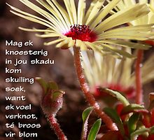 Skadu by Rina Greeff