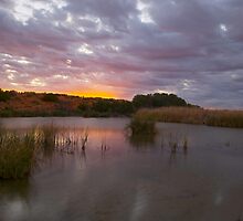 Back of the bore by donnnnnny