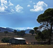 Beyond Bellengen by myraj
