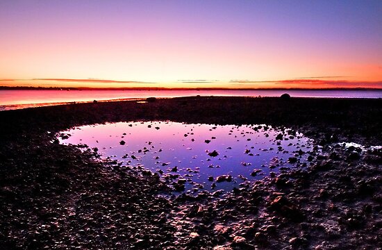 purple puddle