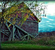 they remind me houses are just made of wood by 13ftfall