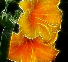 Yellow Lilies with a difference by vette