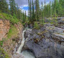 Maligne Canyon and River by Myron Watamaniuk