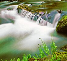 MIDDLE PRONG LITTLE RIVER by Chuck Wickham