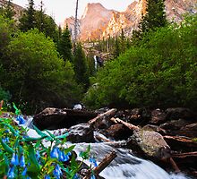 Morning in the Sangre De Cristo Mountains by Reese Ferrier