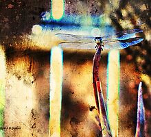 A Single Wish (Art & Poetry) by Rhonda Strickland