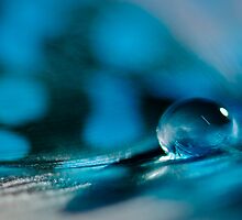 Monday blues... by Christine Kapler