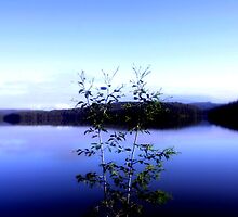 Thomson Reservoir by Chris Chalk