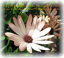The Flowers of Grace by BlueMoonRose