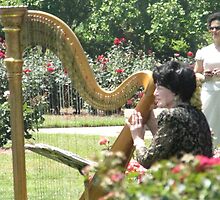 The Harpist Is Playing by camerawoman1