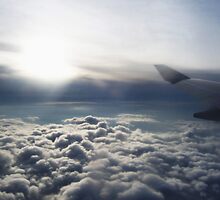 The flight home by Denis Opalchenski