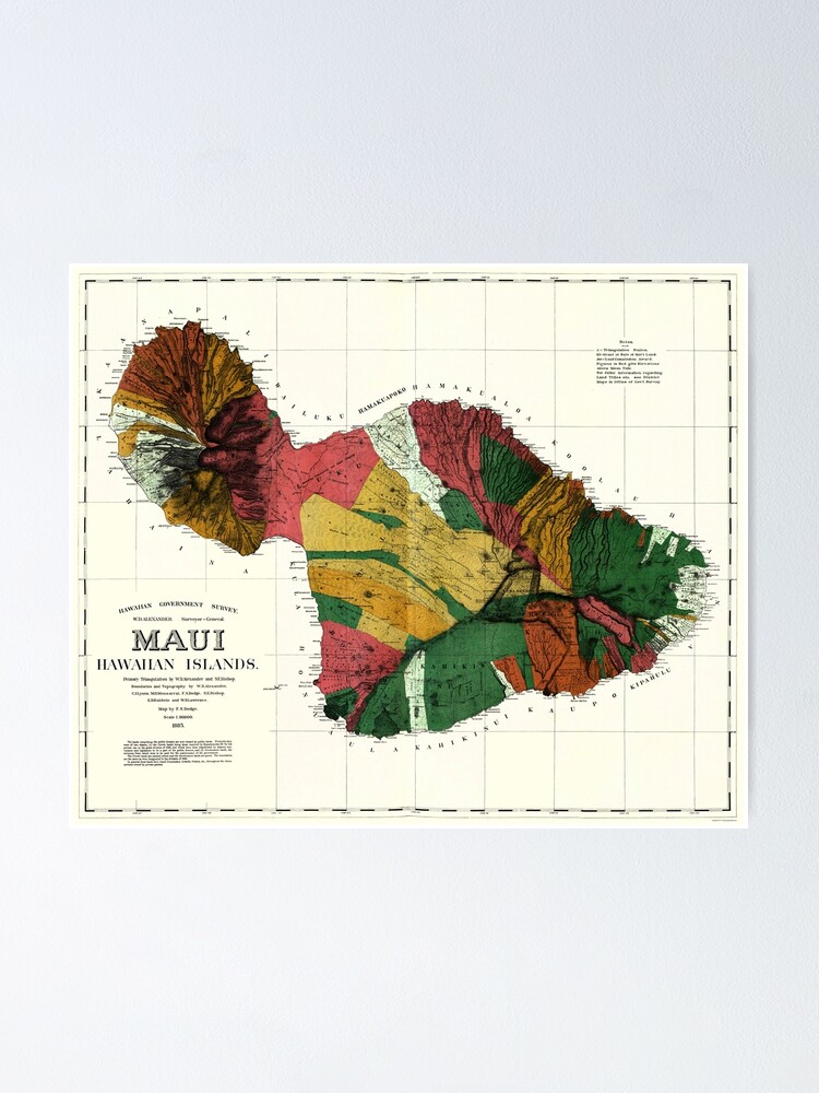 1885 Map Of Maui Hawaii Poster For Sale By BritishYank Redbubble