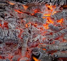 Burning Embers by Alex Levin