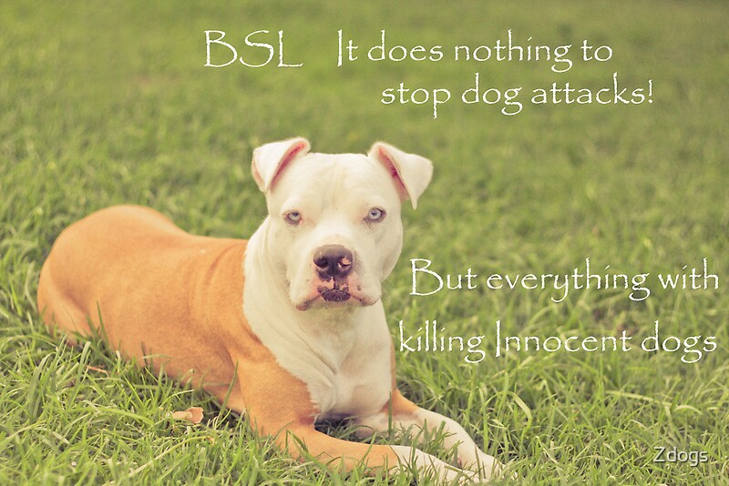 "A Definition Of Breed Specific Legislation" Posters by Zdogs Redbubble