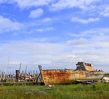A Broader View by JacquiK