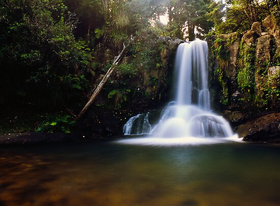 Waiau Falls