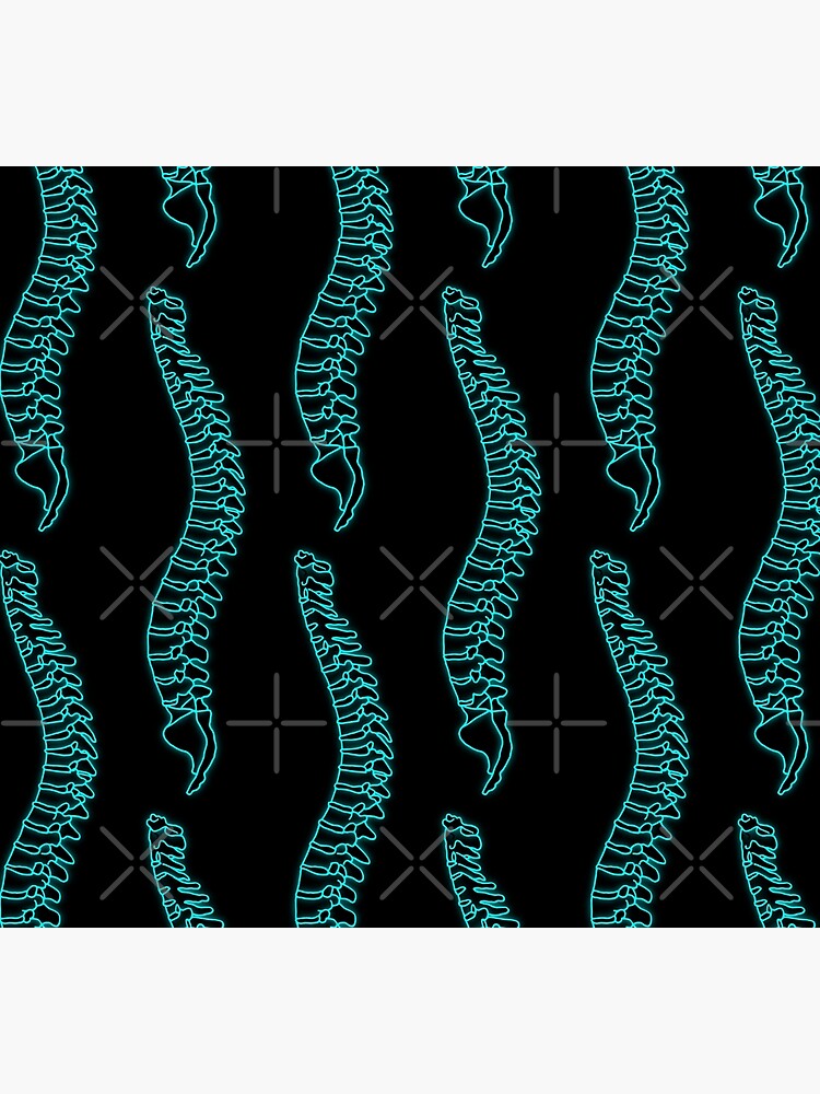 Human Spine Xray Socks For Sale By Creativetwins Redbubble