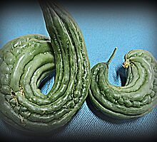 do, do, do... bitter melon (ampalaya) by mariatheresa