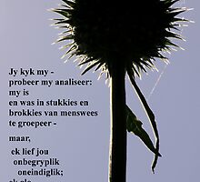 Onbegryplik lief by Rina Greeff
