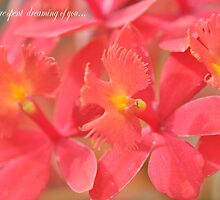 My days are spent dreaming of you... by Matsumoto