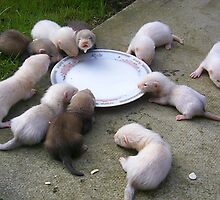 little critters by weecritter