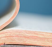 Bibliophile by Lisa Knechtel