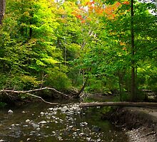 September's promise by MarianBendeth