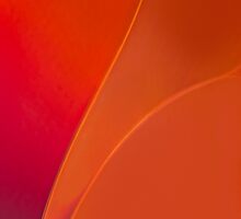 Orange Blush I-Phone Case by Richard G Witham