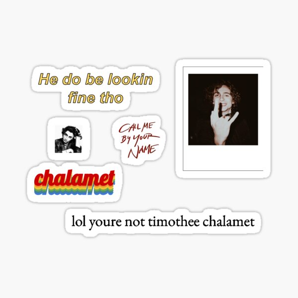 Timothee Chalamet Stickers Sticker Pack Stickers Sticker For Sale By