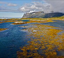 LADY JANE - Colors of love - Lofoten - Thank you My Lord ! Ows ! Tribute to Rolling Stones ! Yeah ! Views (7) thanks ! by © Andrzej Goszcz,M.D. Ph.D
